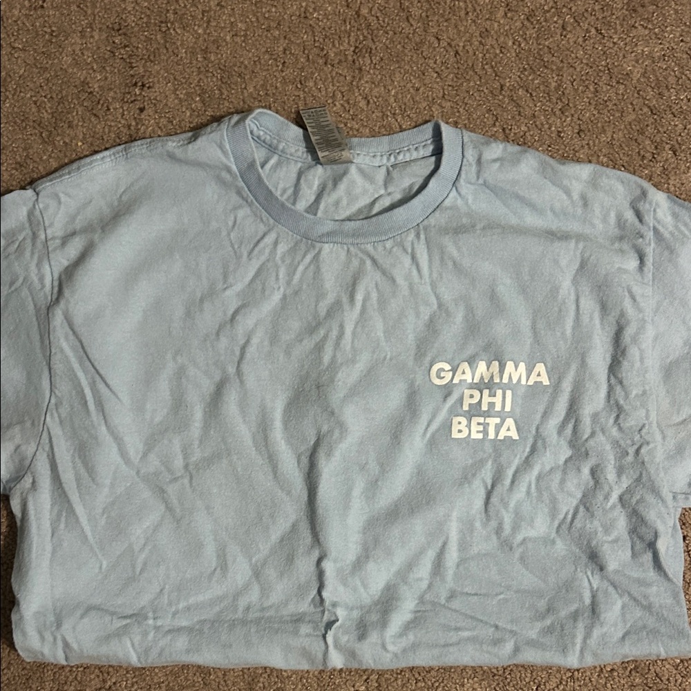 Light Blue Gamma Phi Beta T-Shirt